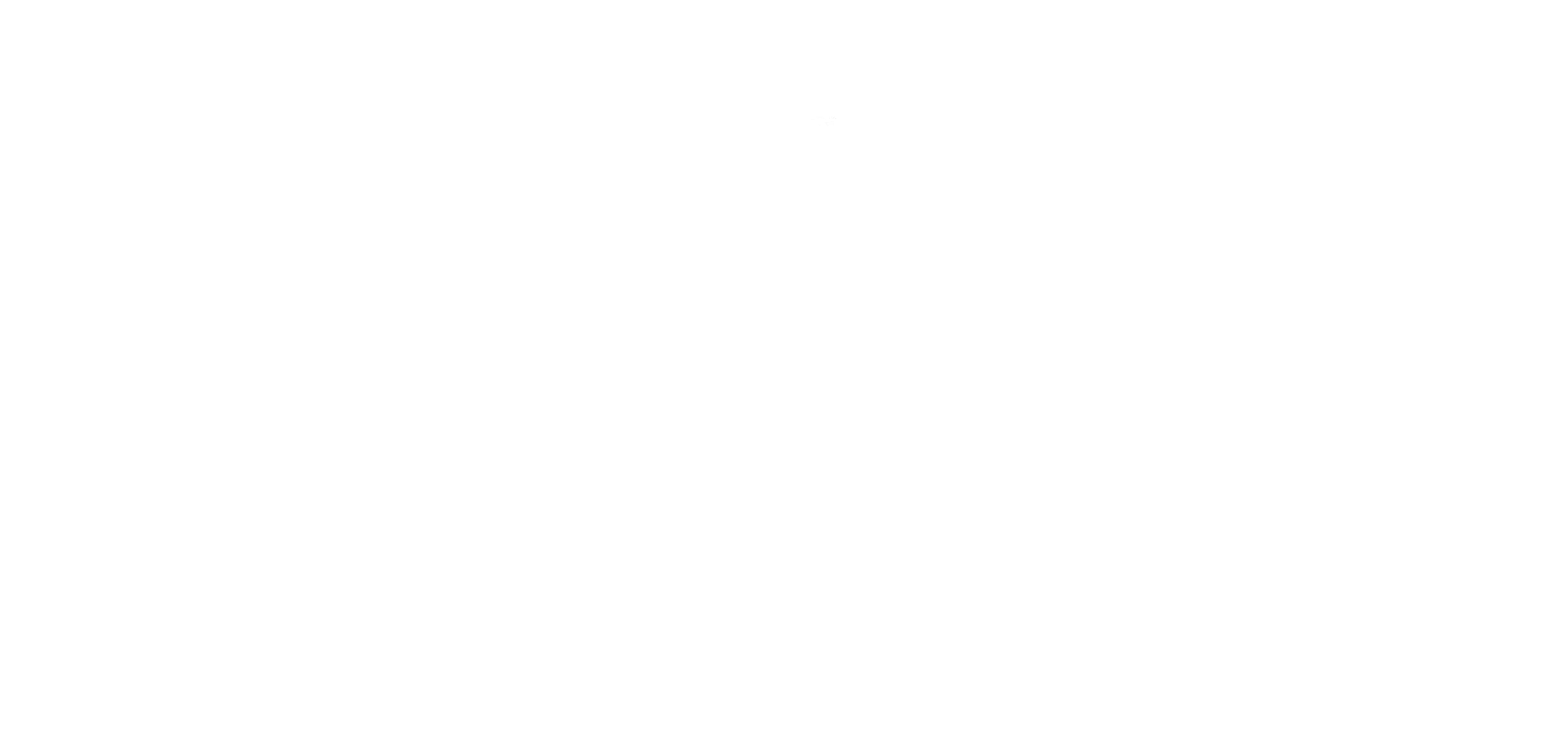 Stripe-logo-white_lg